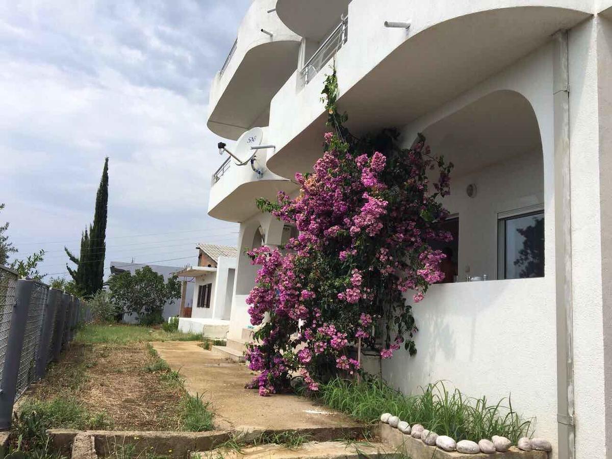 Apartment Light House Dobra Voda Esterno foto